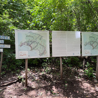 trails las catalinas