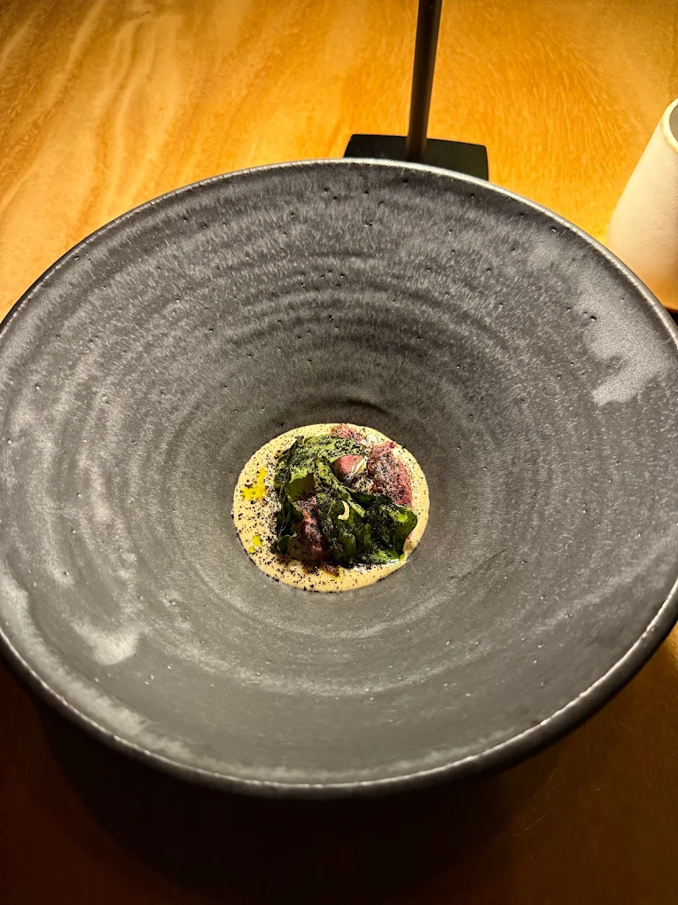 San Lucas — Treetop Dining Experience