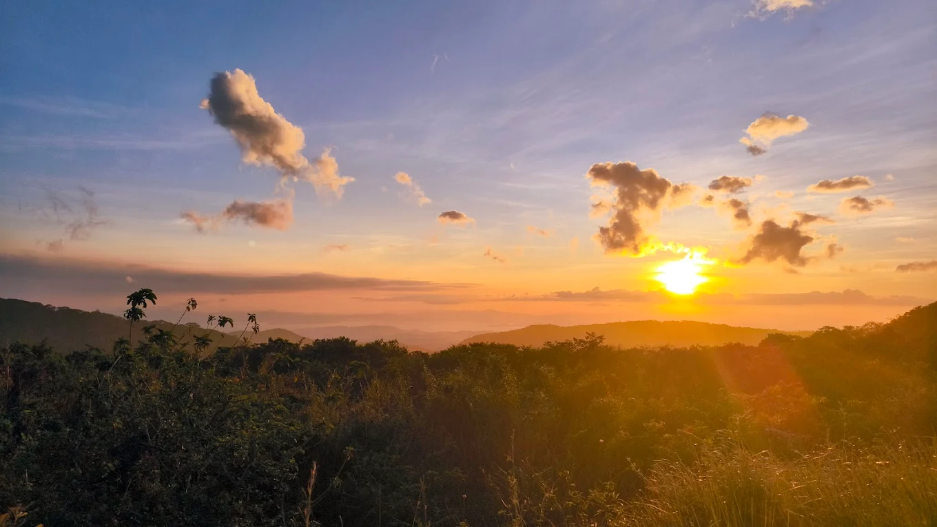 Farm to Table Escondido restaurants