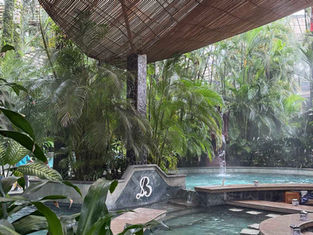 Baldi Hot Springs in La Fortuna: Everything You Need to Know Before You Visit