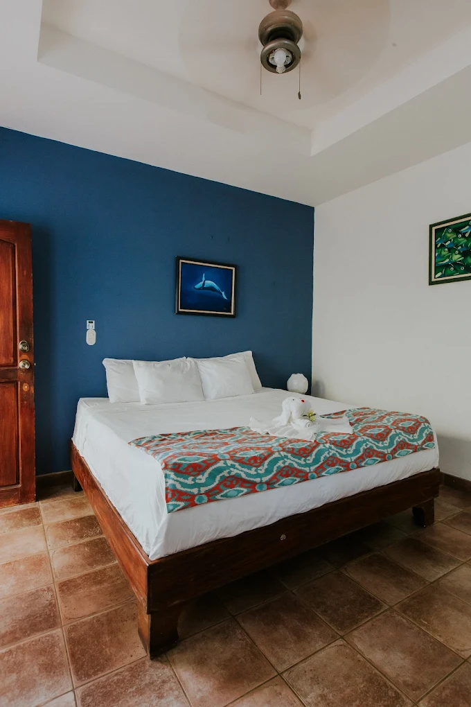 La Posada Jungle Hotel