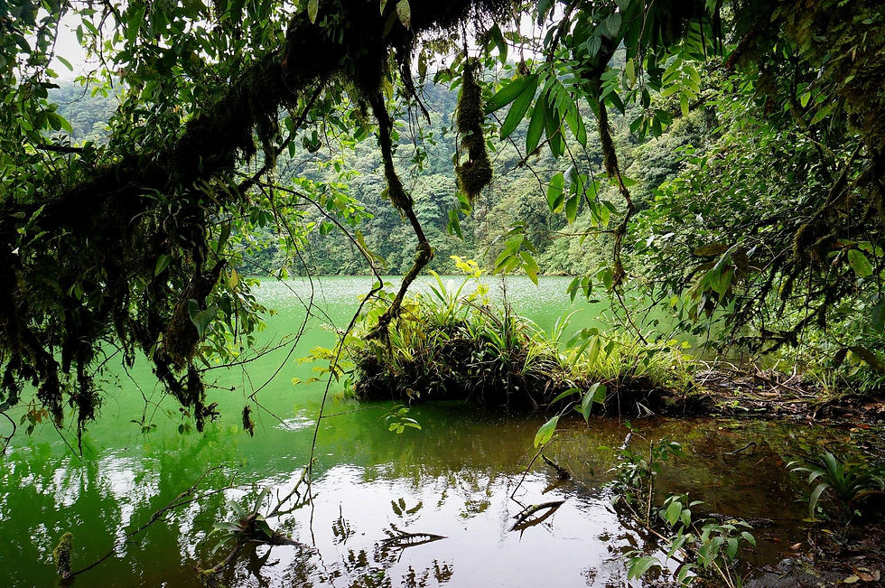 Cerro Chato