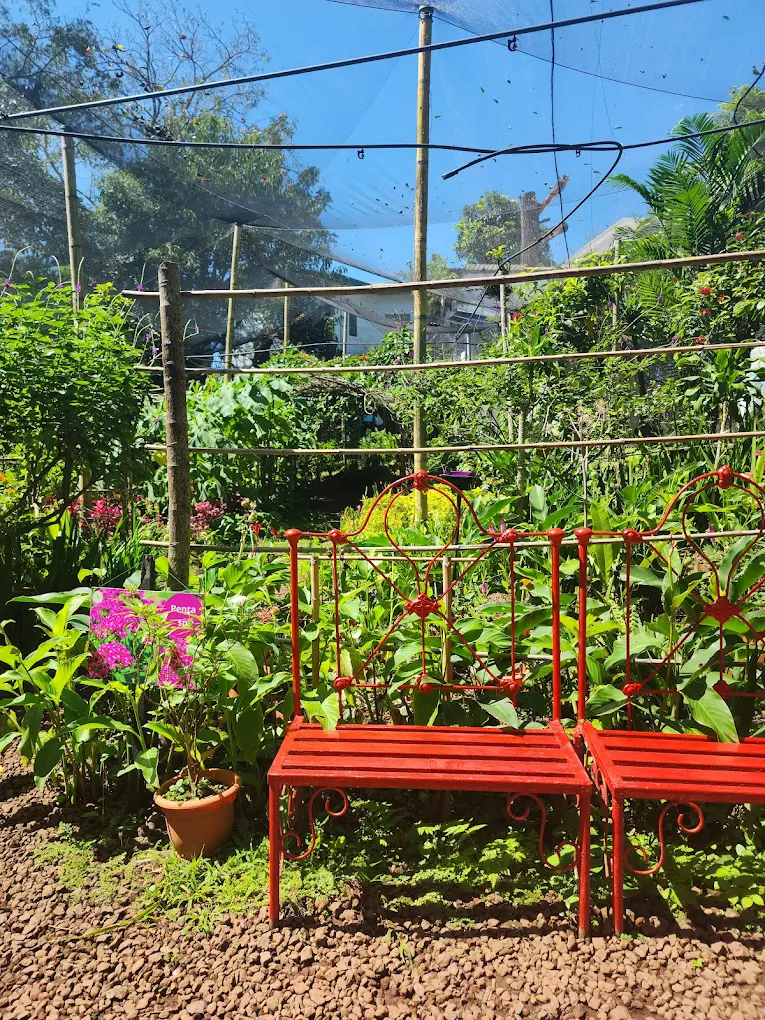 Jardín de mariposas pirogyra