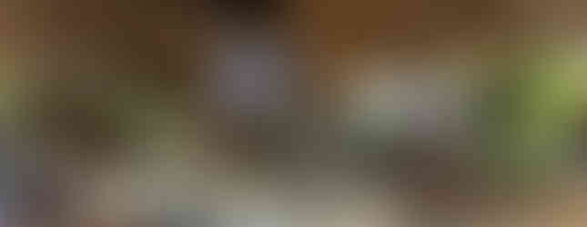 Mercadito de Tamarindo