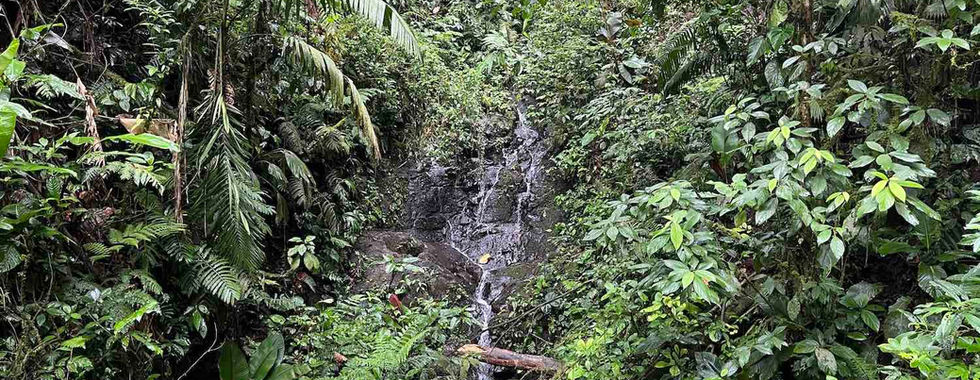 Sky Adventures La Fortuna