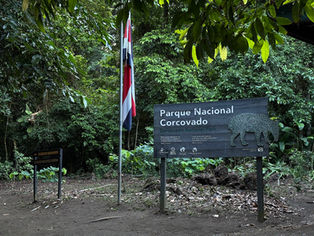 How to get to Corcovado National Park: The Complete 2026 Travel Guide
