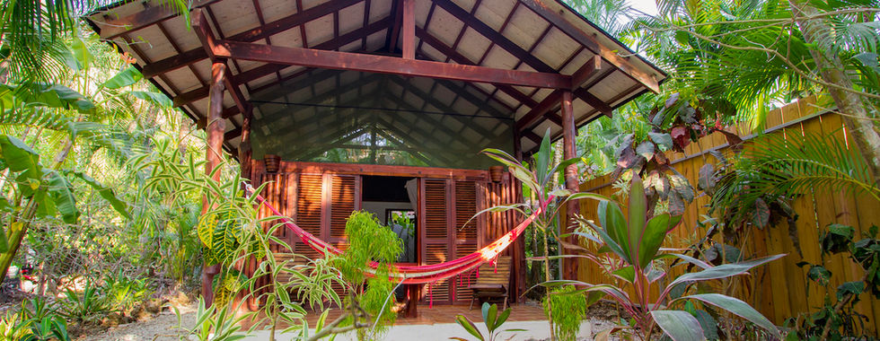 Albergue Funky Monkey