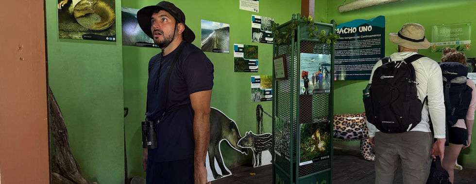 corcovado national park museo