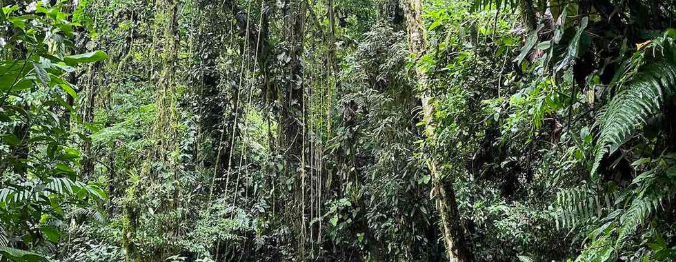 Sky Adventures La Fortuna
