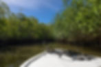 Tamarindo mangrove