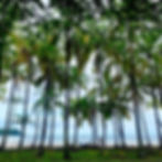 Conchal Beach, Costa Rica: