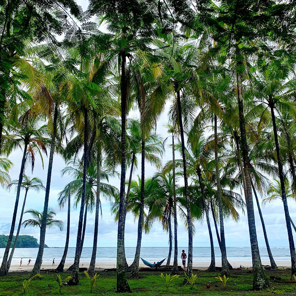 Plage de Conchal, Costa Rica :