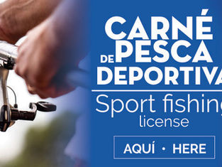 Permis de pêche au Costa Rica : réglementation, coût et bonnes pratiques