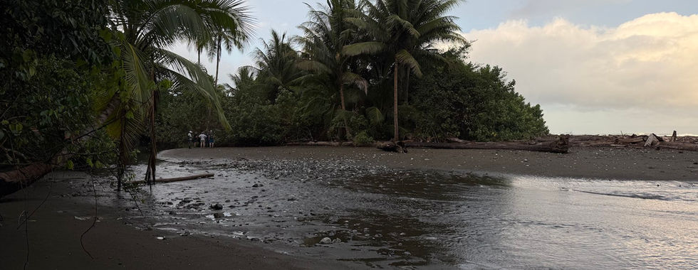 corcovado national park