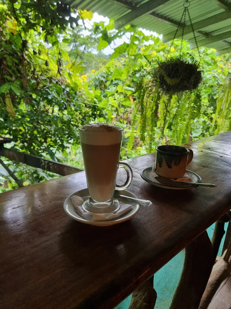 Café Nature