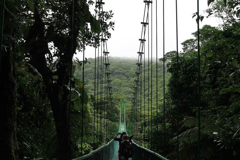 Pont suspendu de la forêt nuageuse de Monteverde