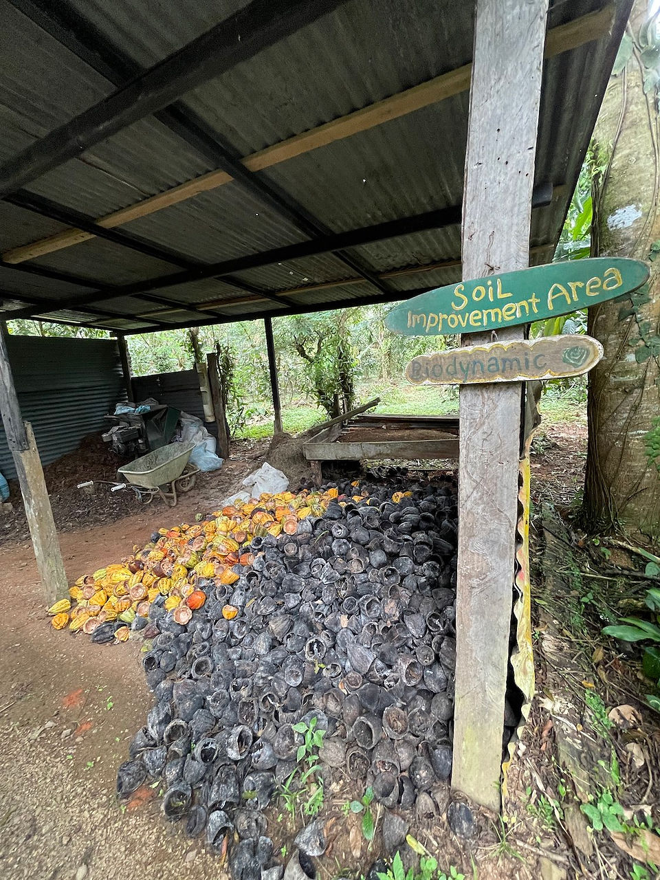 Villa Vanilla Spice Farm Tour 