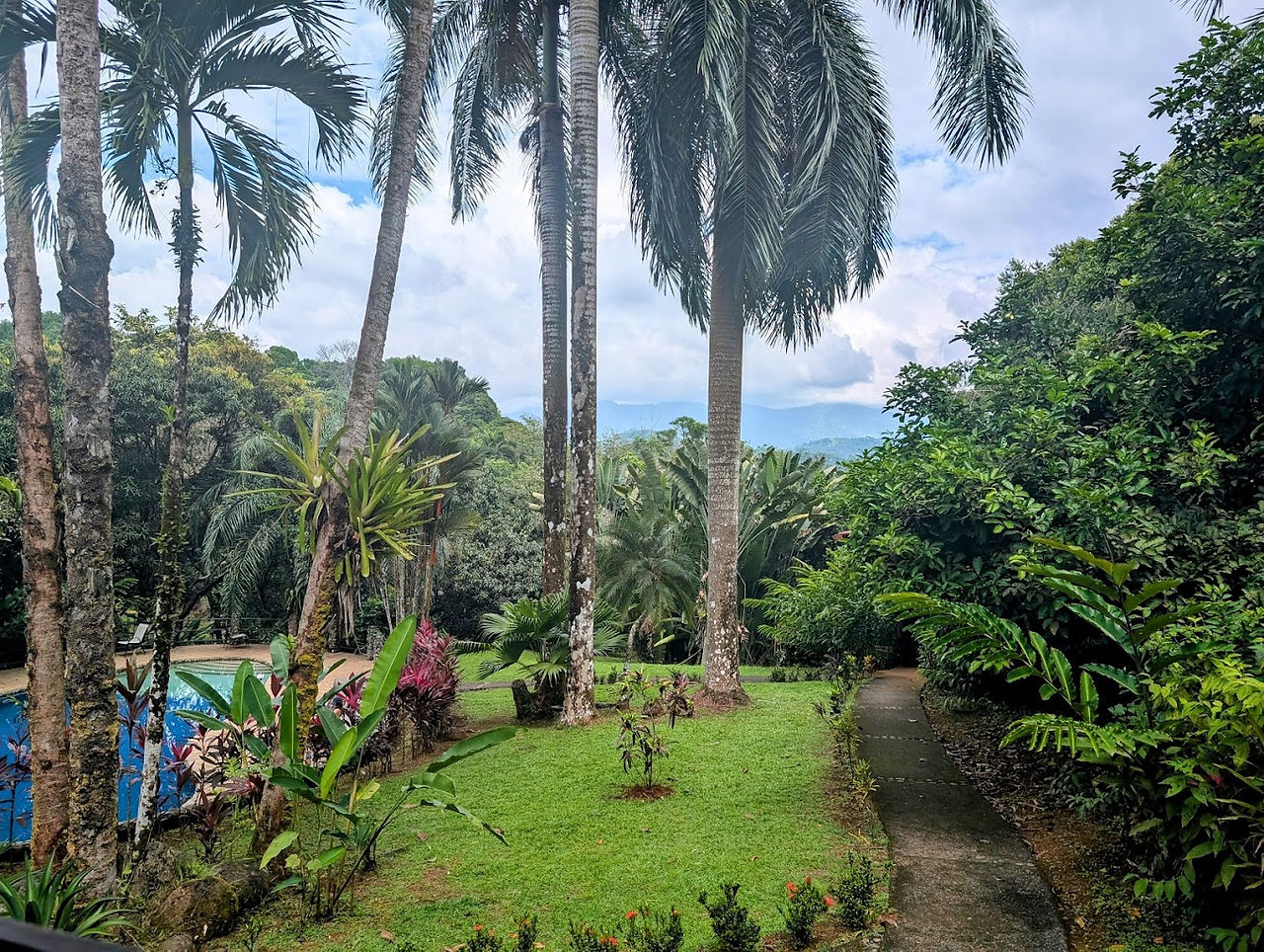 Kids Saving the Rainforest (Manuel Antonio)