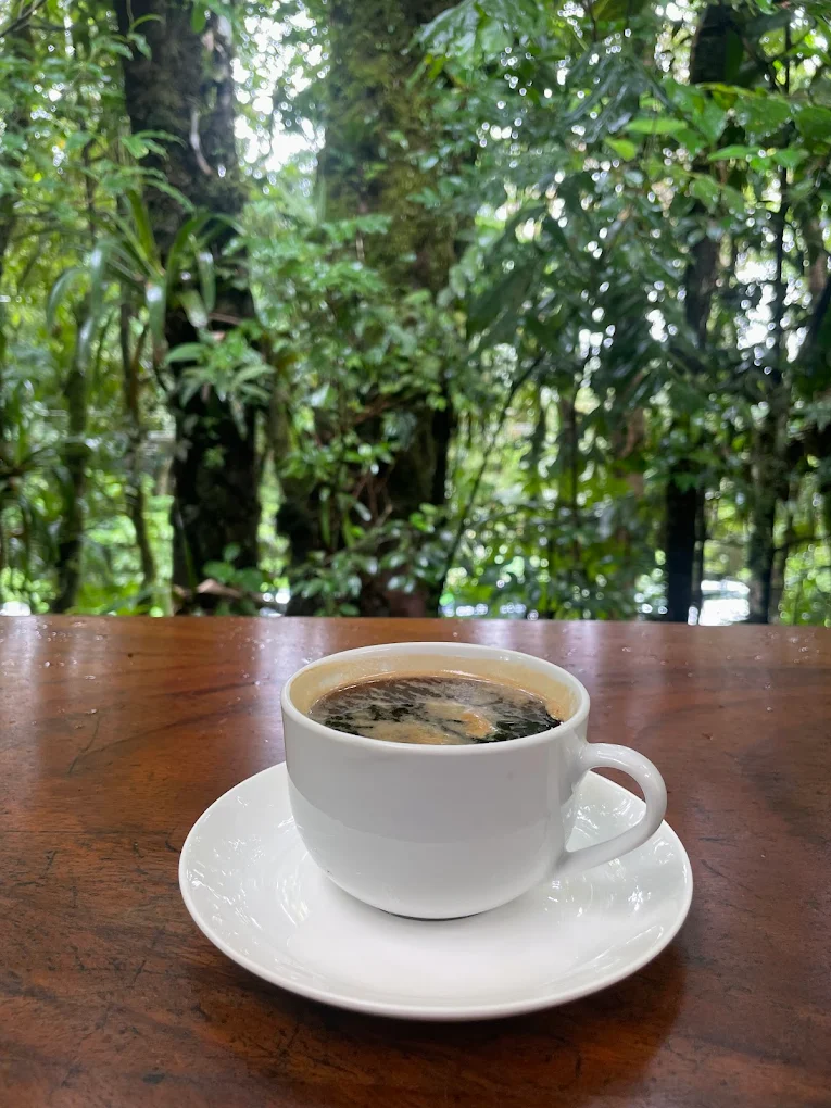 Colibrí Café