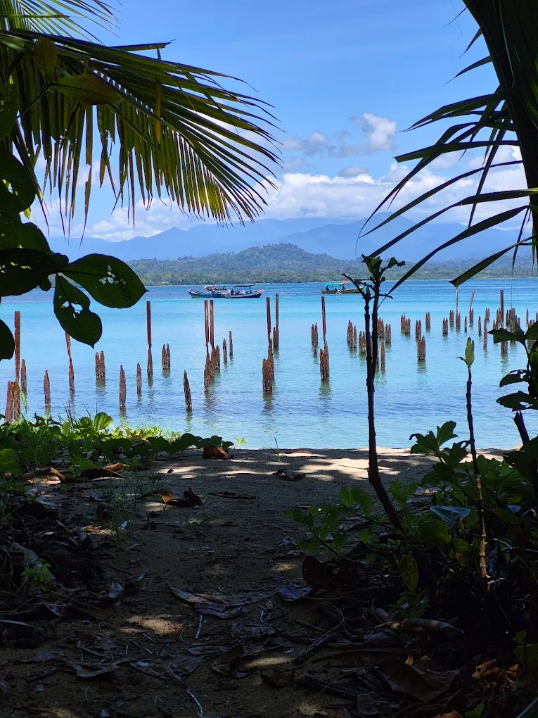 plage de Cahuita