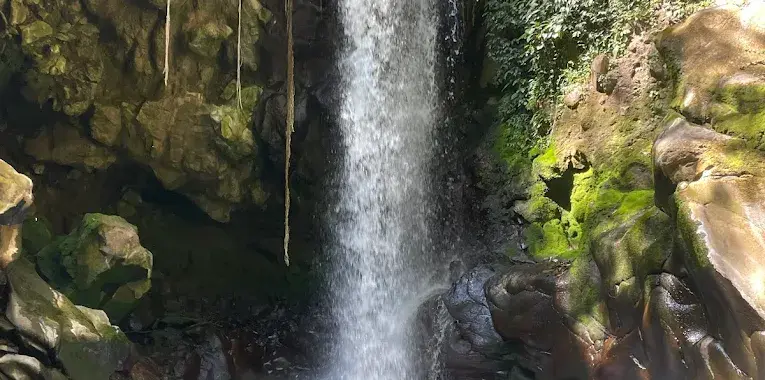 Cascada Oropéndola