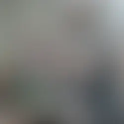 Compañía cervecera Numu