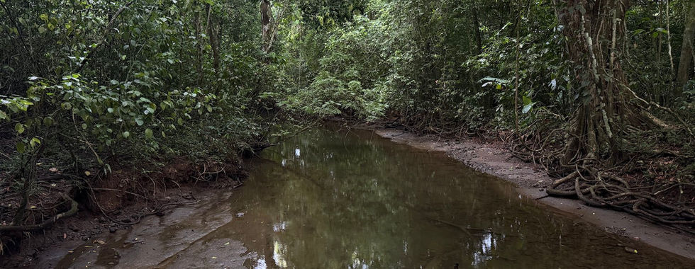 corcovado national park rio
