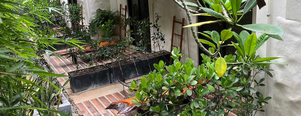 Hôtel Nya