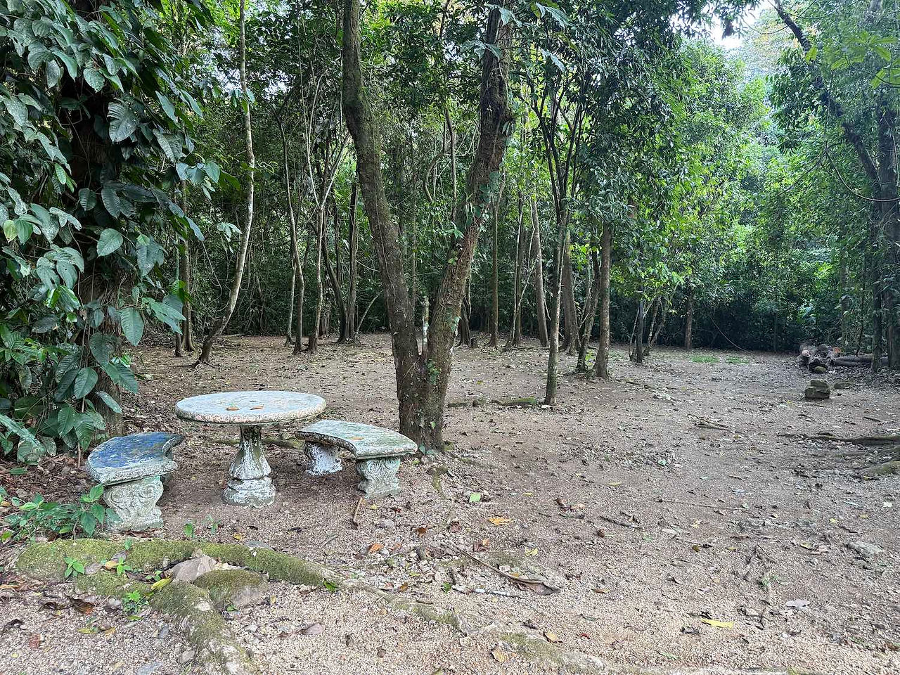 Rafiki Safari Lodge 