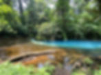 Rio Celeste La Fortuna Costa Rica