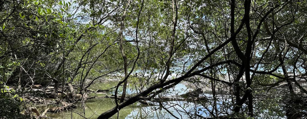 Las Catalinas Costa Rica
