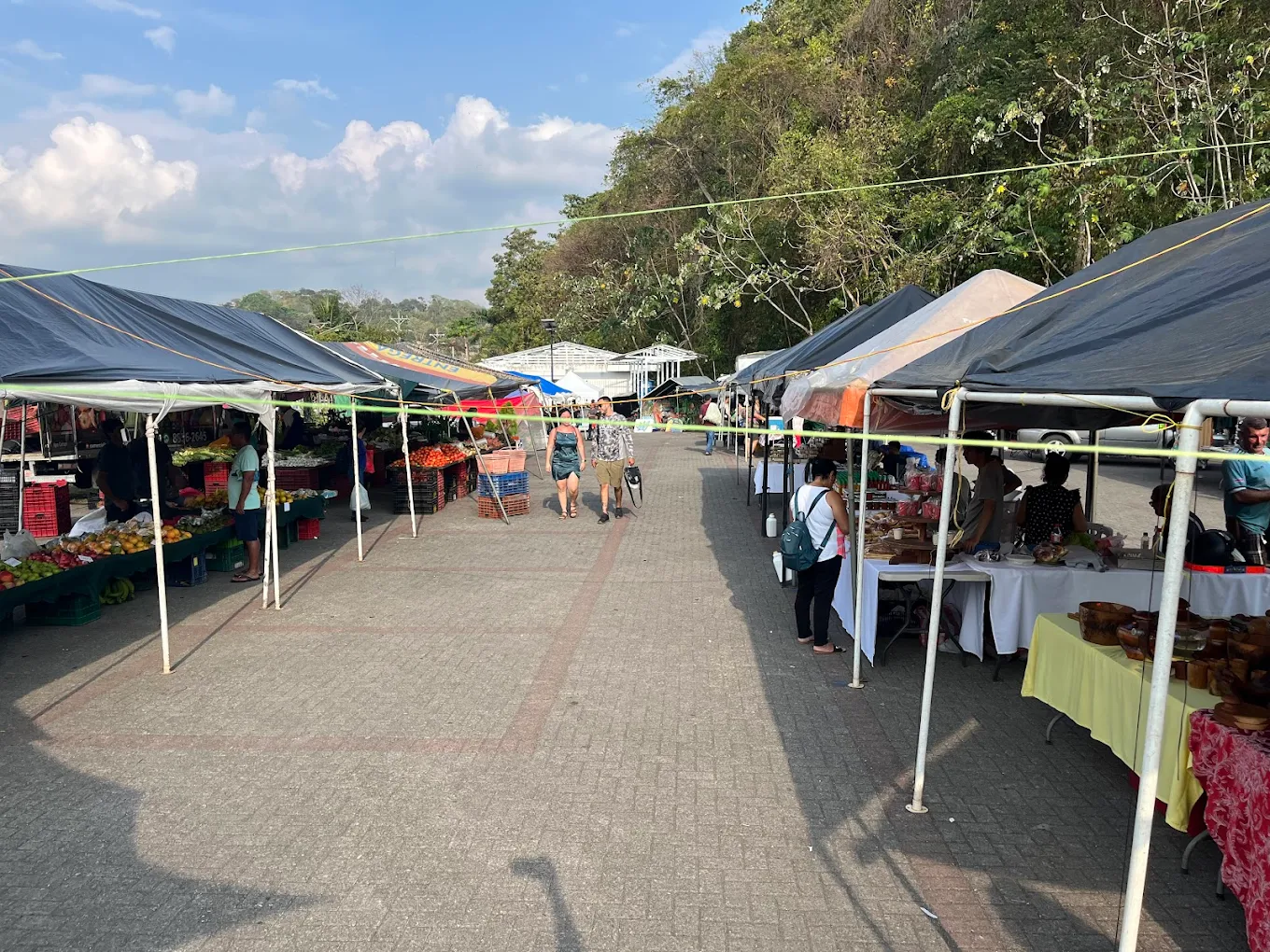 Farmers Market Quepos
