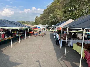 Feria de Quepos: Complete guide to the Quepos Farmers Market