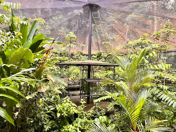 Monarch Café and Butterfly Garden