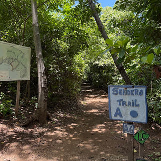trails in las catalinas