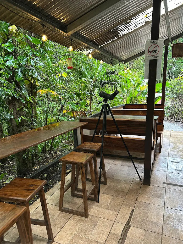 Colibrí Café