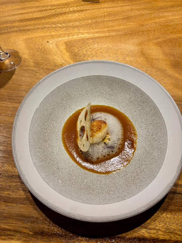 San Lucas — Treetop Dining Experience