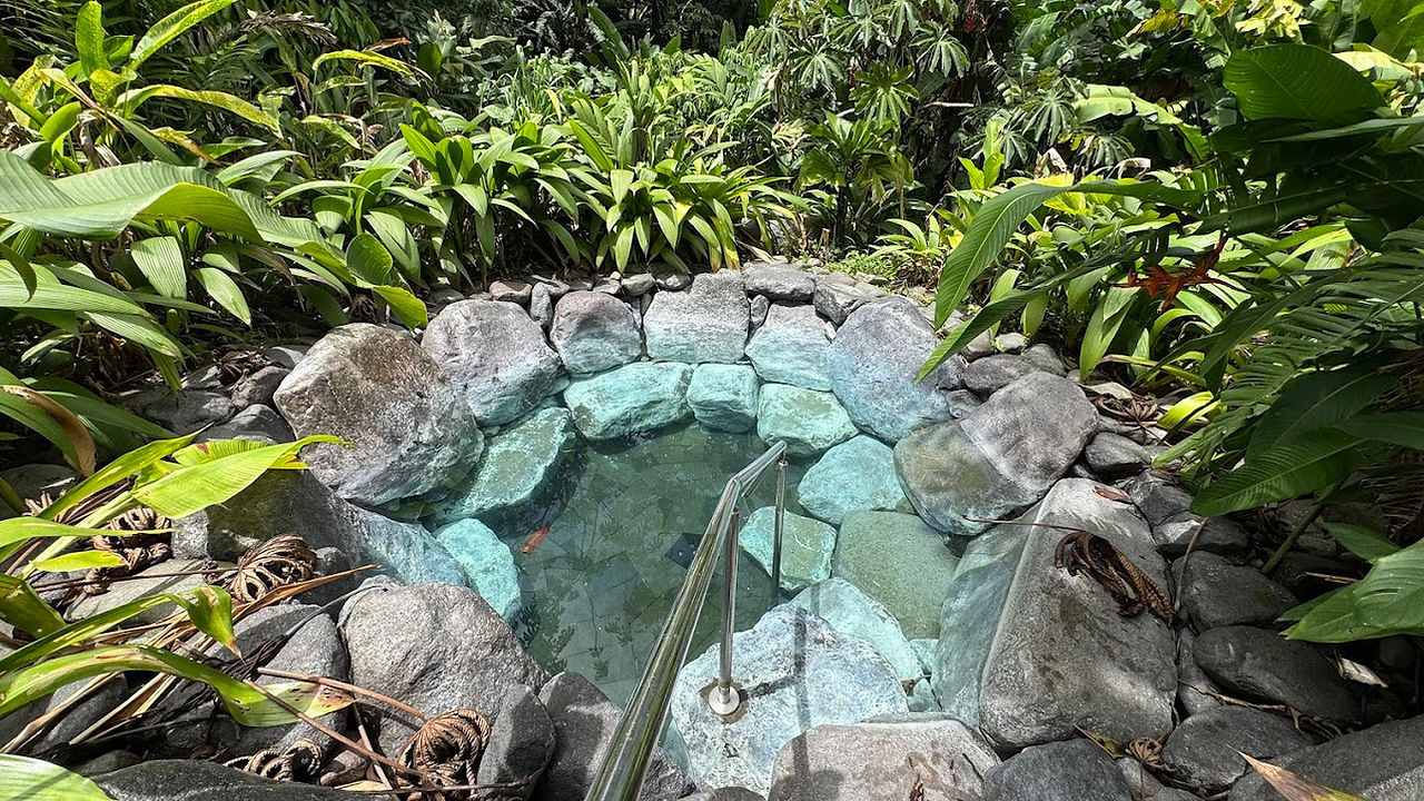 Hotel Arenal Manoa & Hot Springs