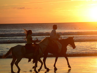 Sunset horseback riding in Nosara, Costa Rica