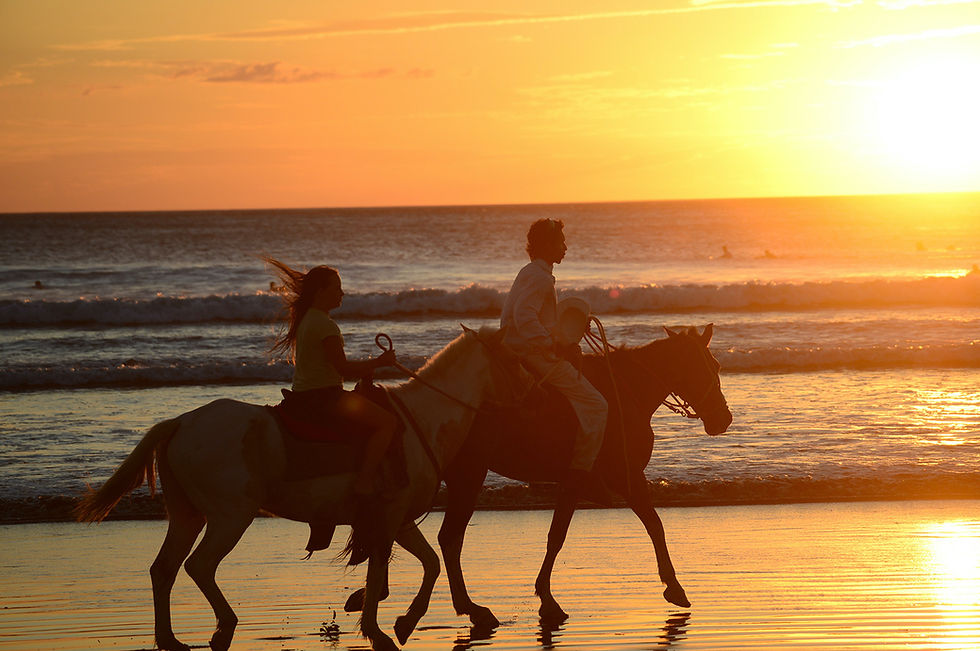 horseback riding sunset nosara