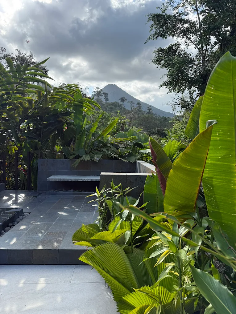 Bosque Restaurant (at Hotel Tifakara)