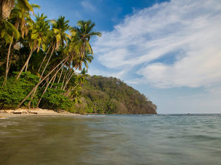 When is the best time to go to Costa Rica? Best time for Weather, Wildlife, Surfing & Fishing.