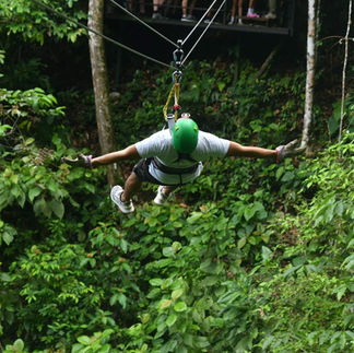Aventura en tirolesa por la selva tropical
