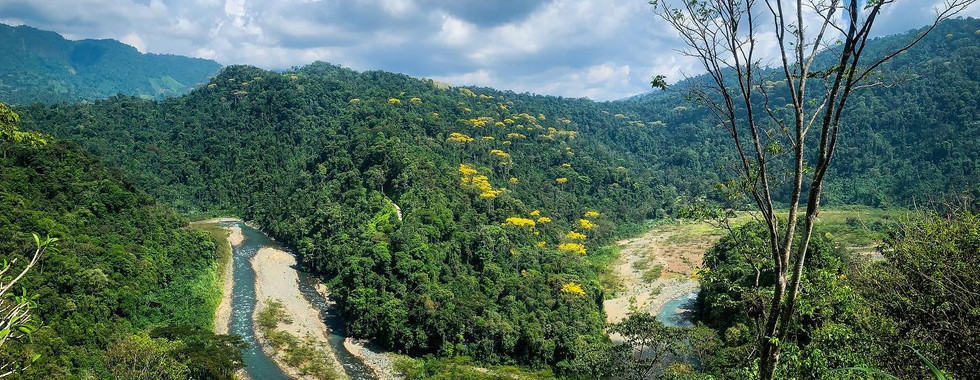 Savegre River Rafting