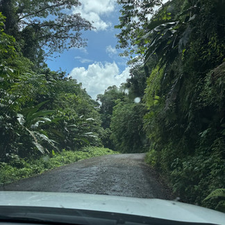 road to Drake Bay