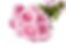 Beauquet1