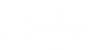 LV2-Logo Aug22_white.png