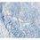 Thumbnail: Ancient Textures Exhibition Pieces