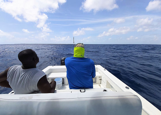 creaming reels fishing grand turk Grand Turk Fishing Charters