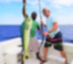 Mahi Mahi AKA Dolphin